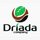 Дриада
