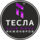 Клуб юных инженеров Тесла (ИП Марчук Елена Владимировна)